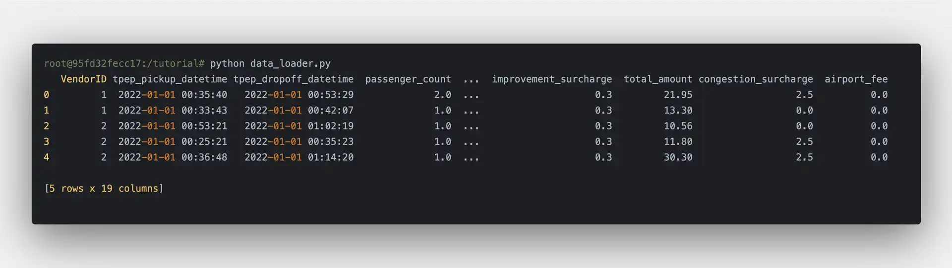 A screenshot of the result of running data_loader.py: an overview of the data loaded